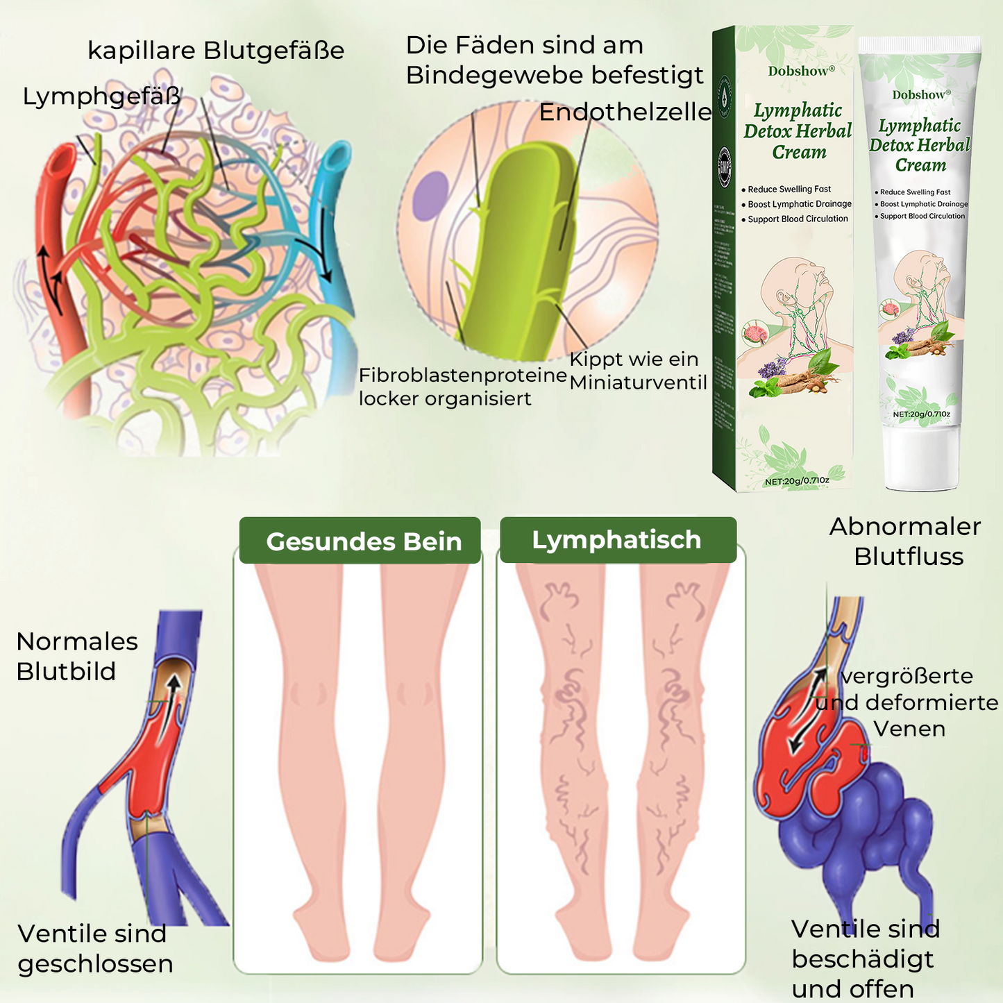Dobshow® Lymphatische Detox-Kräutercreme|👨⚕️ 𝘿𝙚𝙪𝙩𝙨𝙘𝙝𝙚 𝙂𝙚𝙨𝙚𝙡𝙡𝙨𝙘𝙝𝙖𝙛𝙩 𝙙𝙚𝙪𝙩𝙨𝙘𝙝𝙡𝙖𝙣𝙙 𝙇𝙮𝙢𝙥𝙝𝙤𝙡𝙤𝙜𝙞𝙚, (𝘿𝙂𝙇) 𝙚𝙢𝙥𝙛𝙚𝙝𝙡𝙚