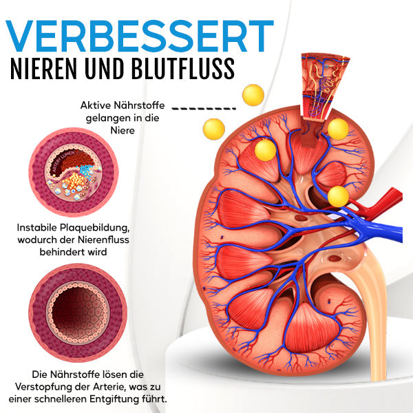 Healthlux™ Niere Boost & Care Inhalator