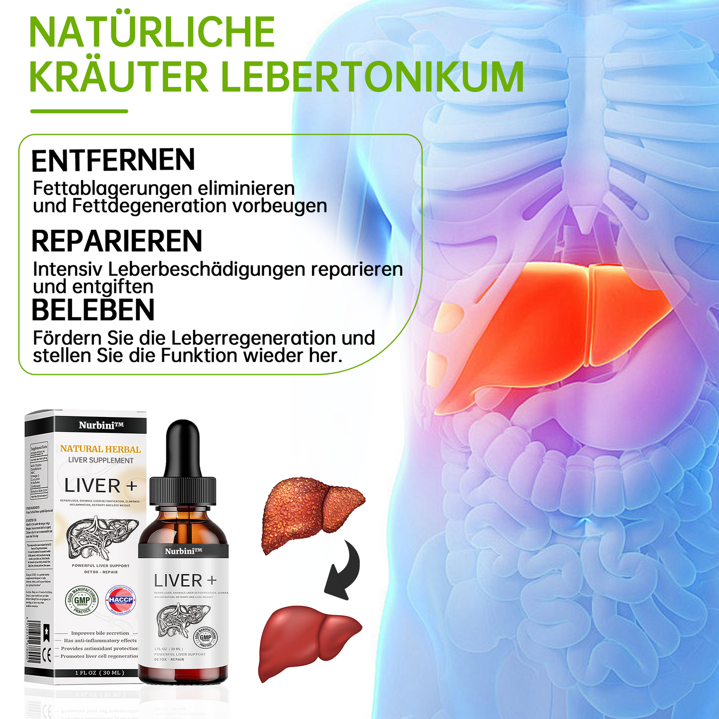 Nurbini™ Natural Herbal Liver Supplement - Entgiftung & Reparatur - 100% natürlich Healing🛡️