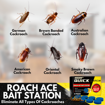 ✨Dobshow™ QuikCatch Killer RoachAce Köderstation👍🏡✨
